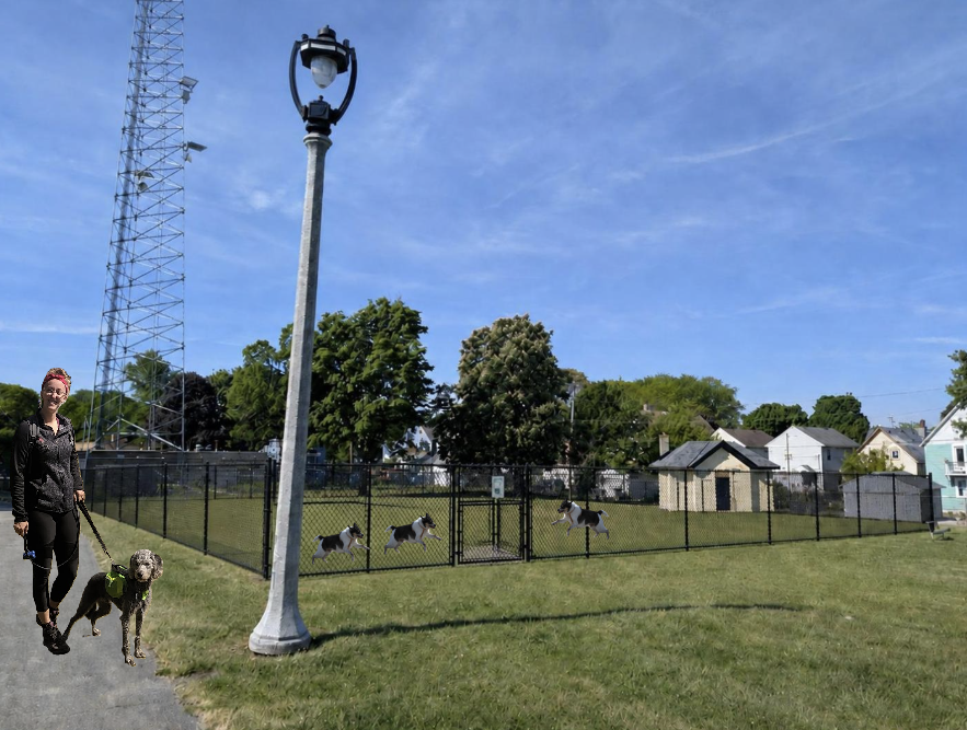 AI-assisted render of the proposed Reservoir Dogs dog park at Reservoir Park